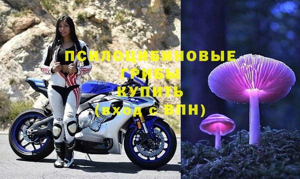 apvp Алексин